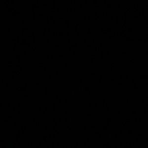 Meet your Posher, Jamir